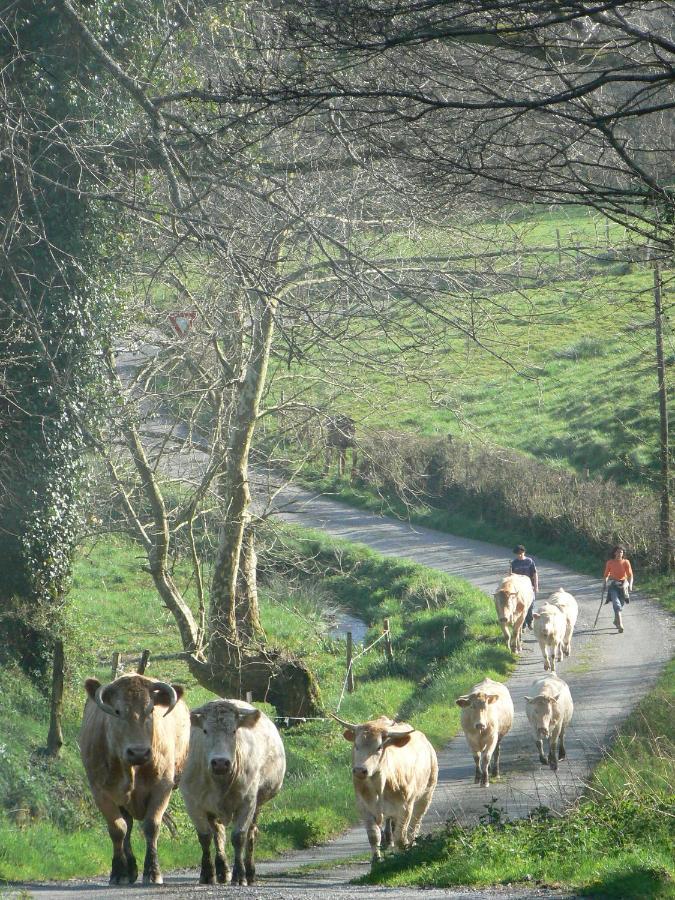 La Ferme Aux Sangliers - Micalet Bauernhof *